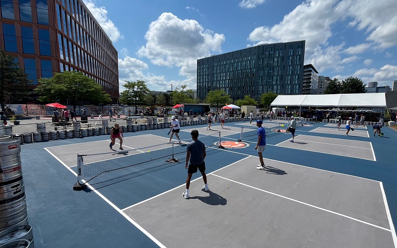 THE PICKLEBALL SOCIAL CLUB  