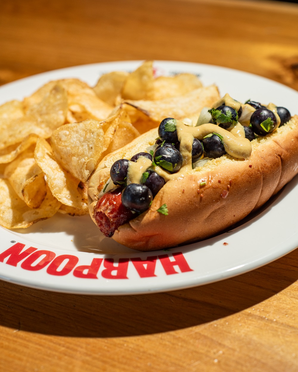 2026-3-16_B1_ZG-Harpoon-Marathon-13